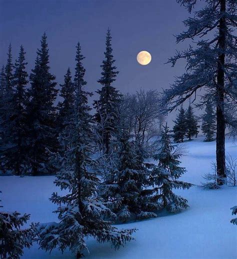 A Winter Full Moon Winter Scenery Beautiful Moon