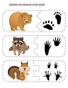 Kostenlose lustige und einfache rätsel für kinderg. Sachunterricht in der Grundschule: Tierspuren ...