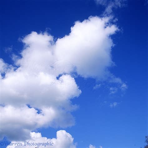 Blue Sky With Puffy White Clouds Photo Wp00902