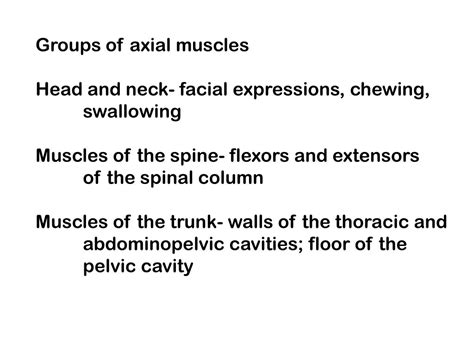 Ppt The Major Muscle Groups Axial Muscles Position Head And Spinal