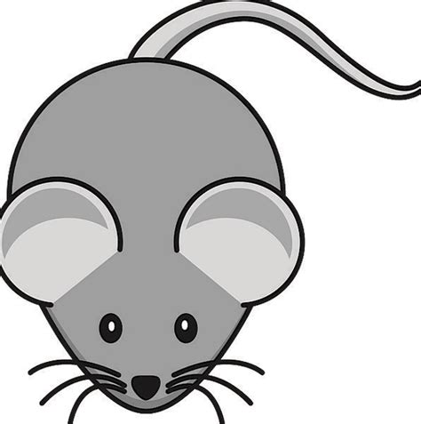 Kidney allograft transplant diagram mouse chronic figure survival frontiersin fmed leukocyte molecule vasculopathy integrin reducing recruitment agonist improves β2 accompanying. Mouse Schematic Diagram - Wiring Diagram Schemas