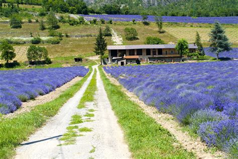 Sale San Giovanni Discover The Little Italian Provence In Piedmont