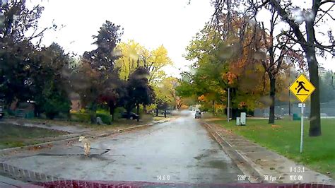 It was founded in 1830 by. tailing a crazy coyote in Oakville Ontario Canada - YouTube