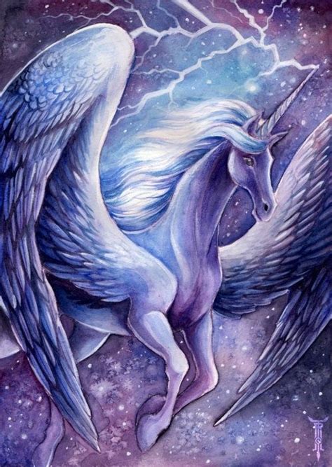 Winged Unicorn By Minnie Unicorn And Fairies Unicorn Pictures