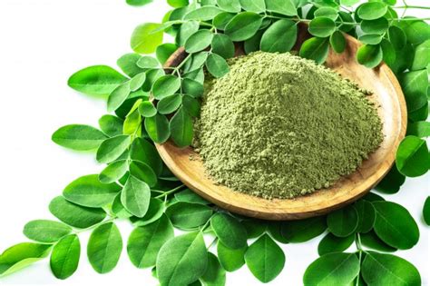 *supercharge your day with our organic moringa leaf capsules. Moringa leaves powder - Veer International