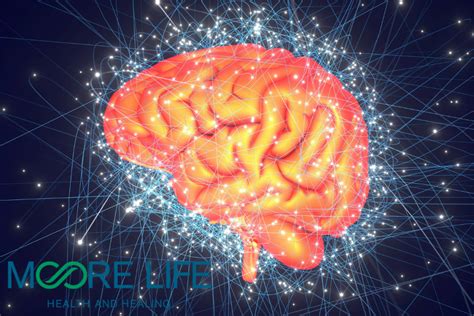 understanding neuroplasticity moore life chiropractic