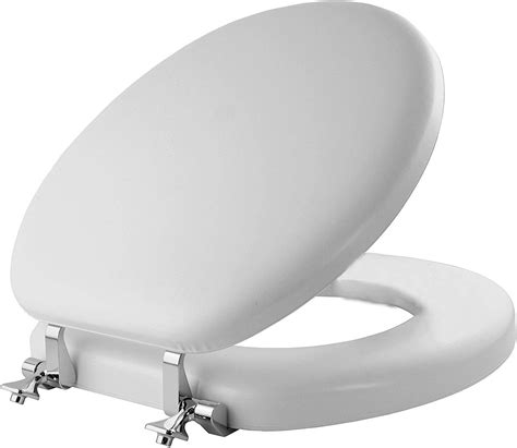 Toilet Seat With Chrome Hinges At Eugenia Jamerson Blog