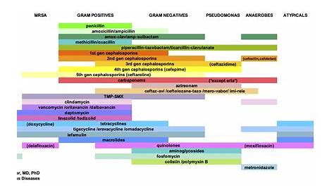 gram positive antibiotics chart
