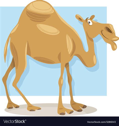 Dromedary Camel Cartoon Royalty Free Vector Image