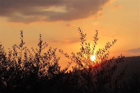 Sunset in August | JuzaPhoto