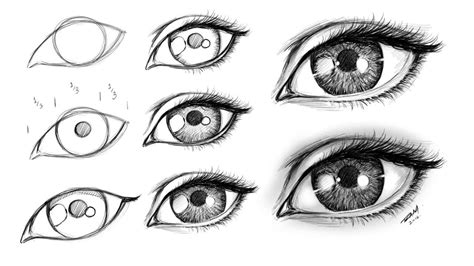 How To Draw Realistic Eyes For Beginners Step By Step ~ How To Draw