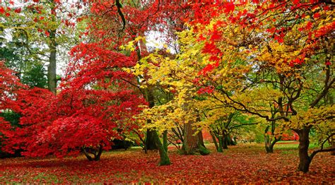 Best Places For Autumn Colours In Uk The Vouchercodes Blog