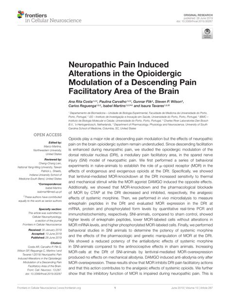PDF Neuropathic Pain Induced Alterations In The Opioidergic