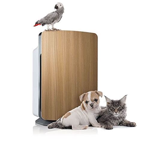 Learn how the best air purifiers for pets can benefit you and your family. Best Air Purifier for Pet Hair | Remove Pet Hair, Dander ...