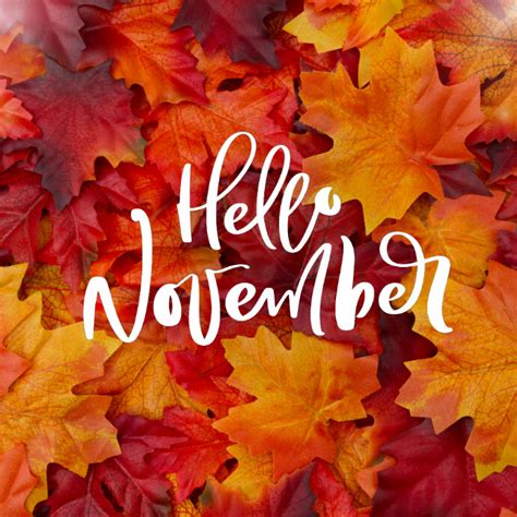 Hello November Poster Template Postermywall