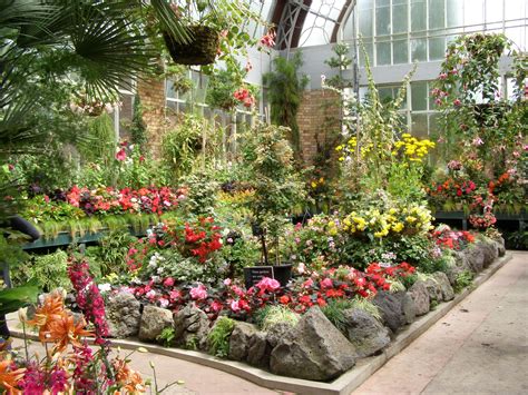 Auckland Botanic Gardens Botanical Gardens Botanical New Zealand
