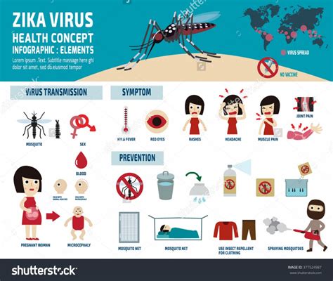 Stock Vector Zika Virus Infographic Elements Health Care Concept Vector Flat Icons Design