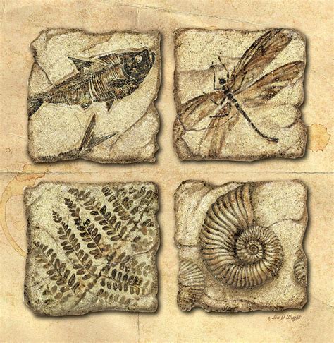 Fossils Painting By Jq Licensing Pixels
