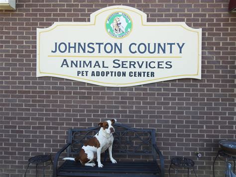 Pet Adoption Fee Change To Encourage Spay/Neuter | JoCo Report