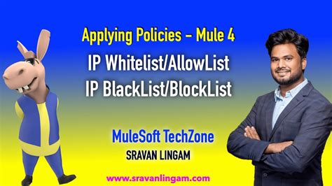 Mule 4 Ip Whitelistallowlist Ip Blacklistblocklist Api Manager