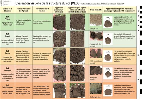 Evaluation Visuelle De La Structure D Un Sol A C Le Site De L
