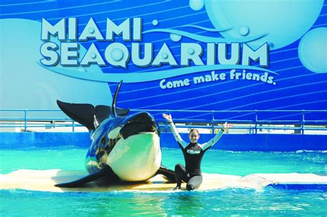 Eintrittskarte Zum Miami Seaquarium Canusa