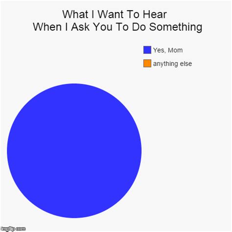 What I Want To Hear When I Ask You To Do Something Pie Chart Funny