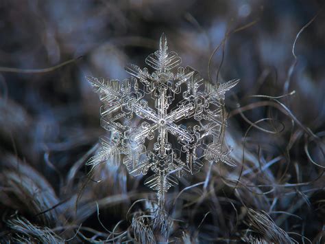 Snowflake 2018 02 067973 82 Photograph By Alexey Kljatov Fine Art