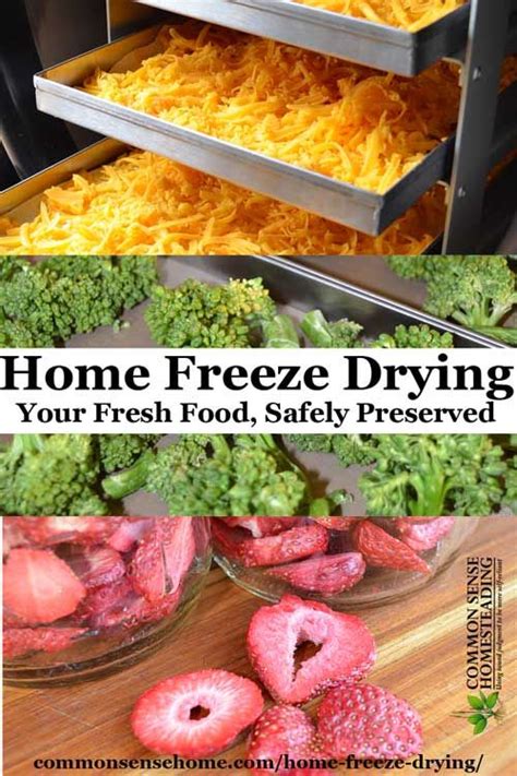 Home Freeze Drying All The Information Including The Messy Bits You