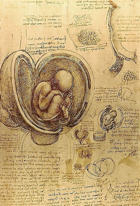 The 10 Greatest Works Of Art Ever Leonardo Da Vinci Sketch Book