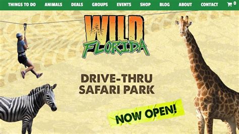 Wild Florida Drive Thru Safari To Reopen As Phase One Of Floridas