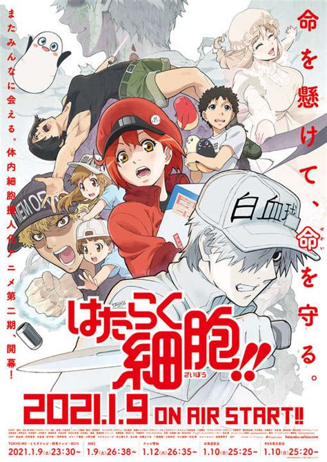 Cells At Work Shares Premiere Date New Trailer And Poster