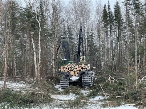 Canada Home To A Massive Boreal Forest Lobbied To Limit Us Eu Anti