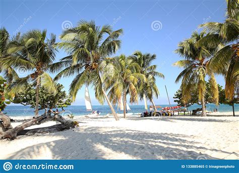 Tropical Beach With White Sand Palm Trees And Sailboats Stock Image