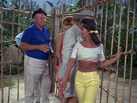Mary Ann From Gilligans Island Costume