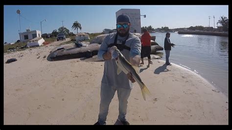S5e6 Nunca Había Capturado Este Pescado Pesca De Orilla Yucatan