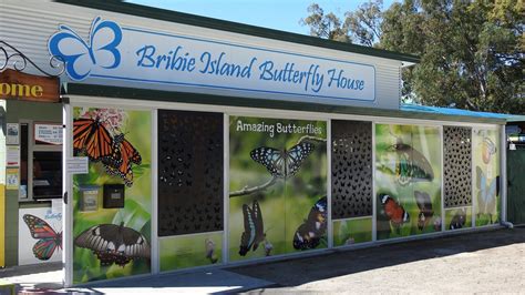 Bribie Island Butterfly House Attractions Queensland