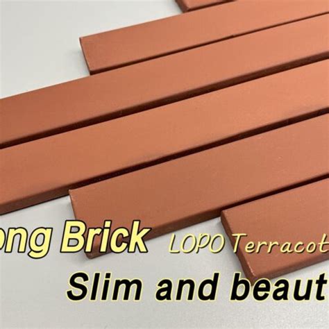 Discover Lopos New Red Terracotta Strip Tile For Modern And Stylish