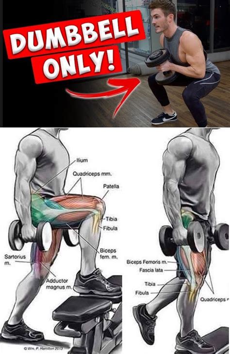 Full Leg Workout Video And Guide
