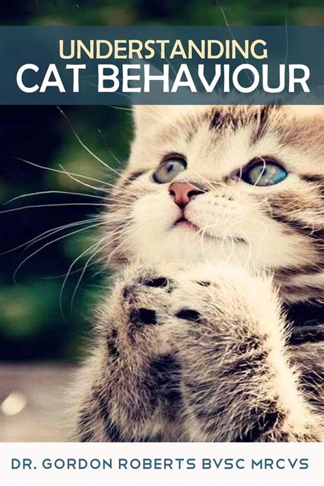Understanding Cat Behaviour Uk Roberts Bvsc Mrcvs Dr