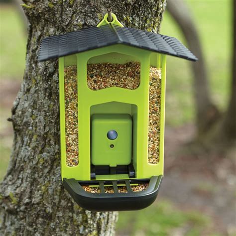 Bird Feeder With 15mp Motion Activated Camera
