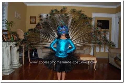 Homemade Peacock Costume All Halloween