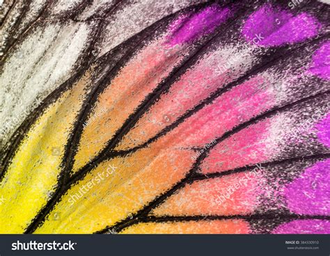 Macro Closeup Butterfly Wing Texture Background Stock Photo 384330910