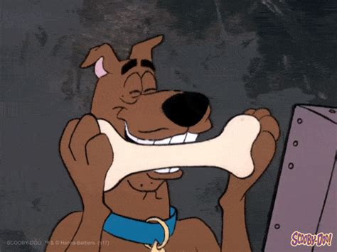 Scoobydoo S Find And Share On Giphy