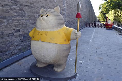故宫神武门巨型“御猫”成为新的旅游打卡圣地