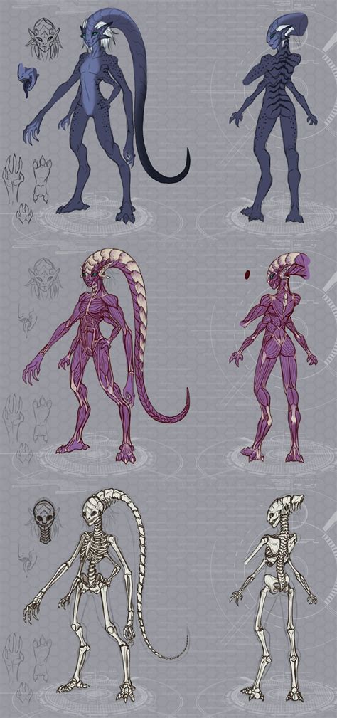 Veera Anatomy Study By Riyami On Deviantart Alien Character Character