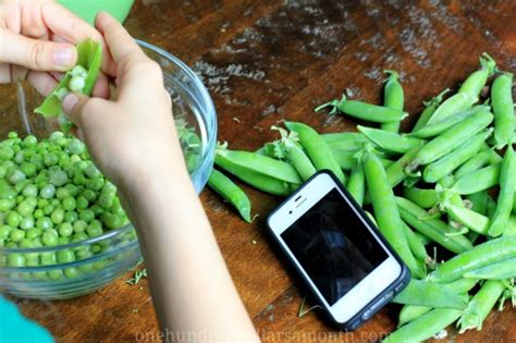 Check spelling or type a new query. How To Freeze Fresh Peas - One Hundred Dollars a Month