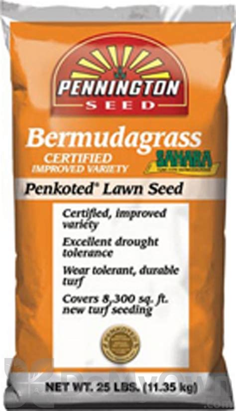 Pennington Bermudagrass Sahara Penkoted Grass Seed