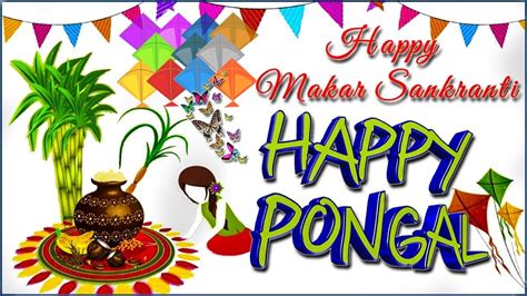 Happy Pongal 2018 Happy Makar Sankranti Latest Wishes Greetings Wh