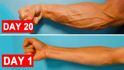 How To Get Veins In Your Arms Forearm Workout Veiny Hands Youtube